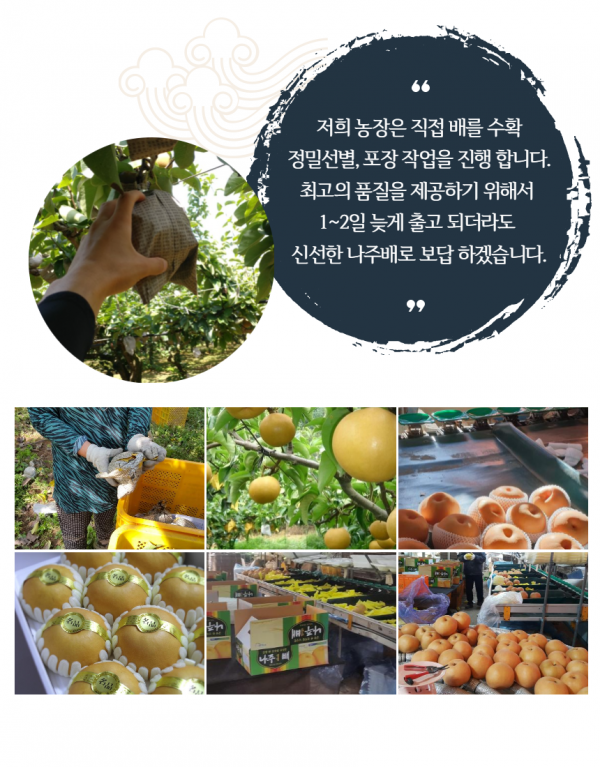 b70afbd9f9d21bd692c37c6f7e5c0f4d_1603370093_5262.png