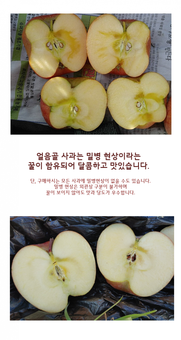 27a8c28c894e6cee23fb4a6b0605c301_1669817885_9727.PNG