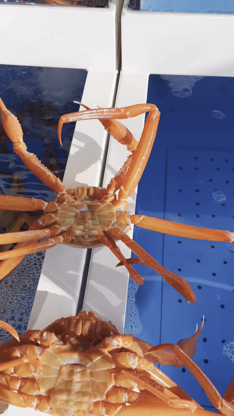 e8e5f0d892cfa2bf8465b2eb76aec2c4_1721206083_6772.gif
