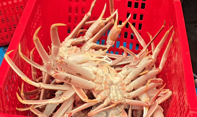 98b19c3e58072024a00b921e8f23f324_1746753548_5328.gif