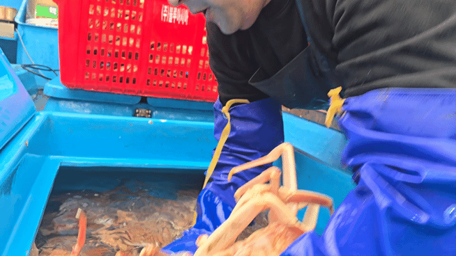 98b19c3e58072024a00b921e8f23f324_1746753620_1121.gif